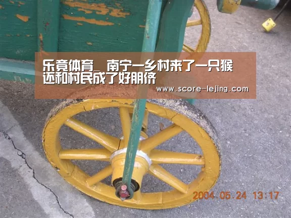 乐竟体育_
南宁一乡村来了一只猴 还和村民成了好朋侪(图1) 乐竟体育app